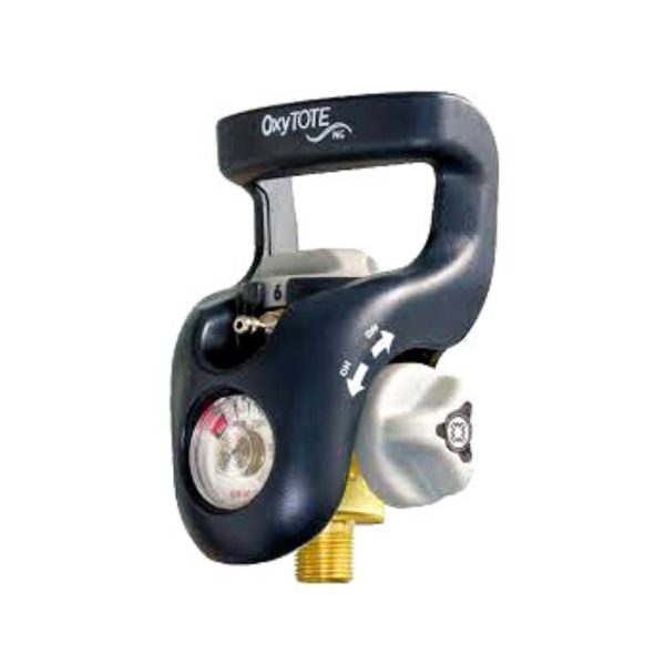 Western MNR-800 OXYTOTE NG Oxygen Regulator Head with DISS Demand Outlet